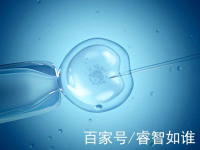 顕微授精 ICSI