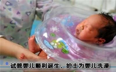 代生捐卵生子
